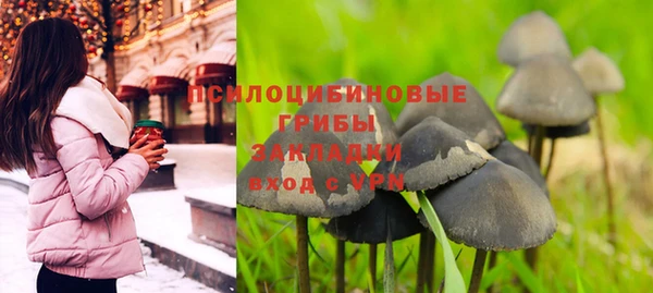 ПСИЛОЦИБИНОВЫЕ ГРИБЫ Алексин