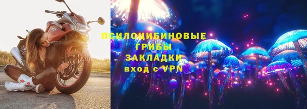 стафф Алзамай