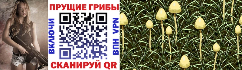Галлюциногенные грибы GOLDEN TEACHER  как найти   KRAKEN вход  Сасово 